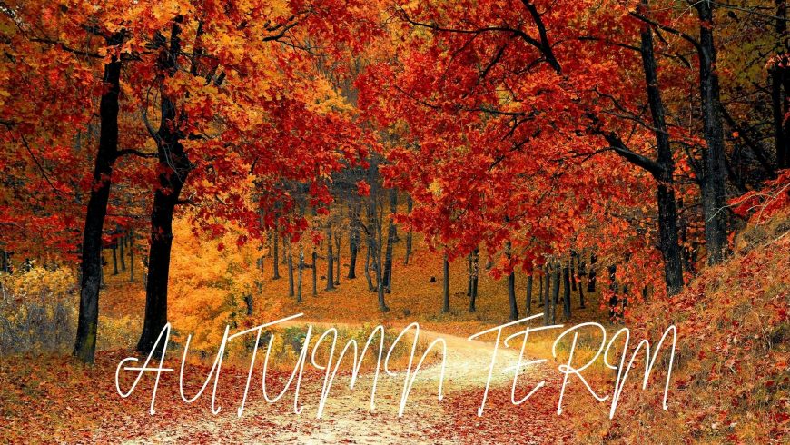 Autumn Term 2025 At DAC